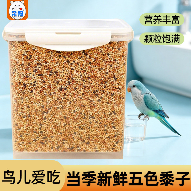牡丹虎皮玄凤文鸟珍珠专用带壳五色黍子黄米鹦鹉鸟粮粮食饲料谷子