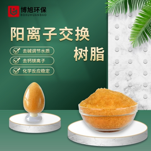 732阳离子交换树脂食品级软水机滤芯酒店洗浴锅炉水鱼缸软化过滤