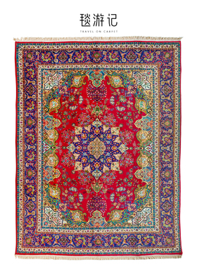 毯游记 伊朗Tabriz手工羊毛地毯客厅进口高端欧美式波斯160800