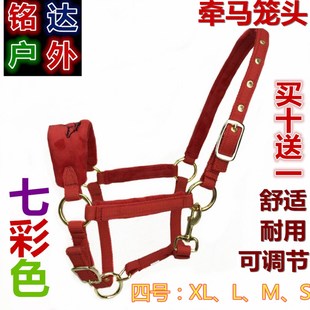 马笼头绳子马术用品马笼套大小矮马龙头鞍马具头套配件全套全线板