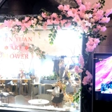 Смоделированные цветы японское вишневое дерево