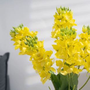 森系油菜花仿真花家居客厅餐桌假花插花干花装饰花摆件塑料花绢花