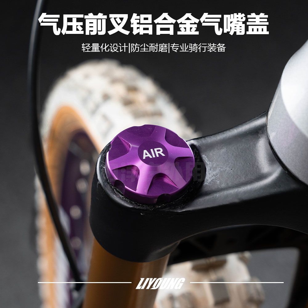 LIYOUNG力洋山地气压前叉盖防尘图片