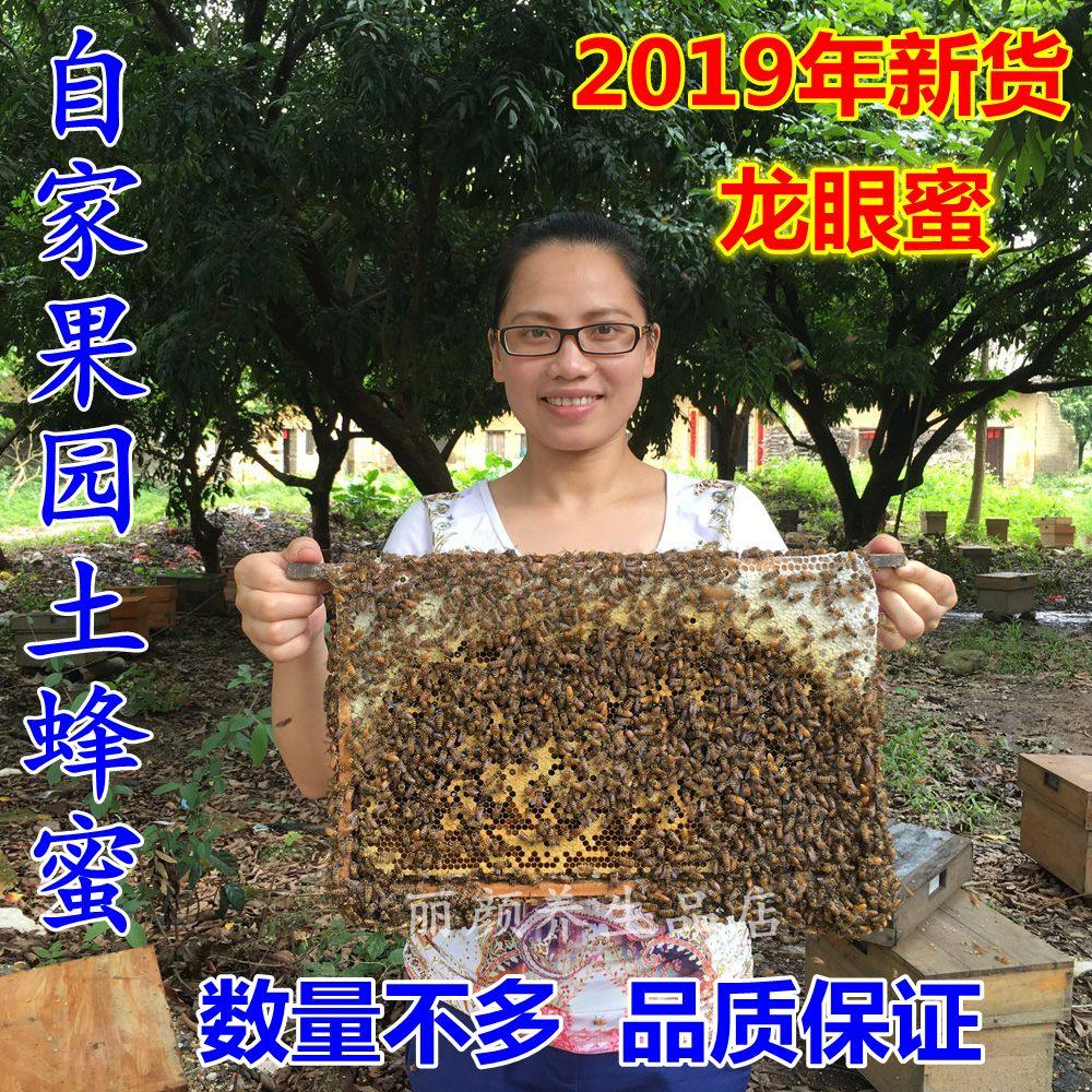 龙眼蜜桂圆蜜 纯天然农家自产土蜂蜜原蜜纯正不加糖500g包邮在类目 传统滋补营养品, 蜂蜜中 - 来自Buy2taobao.com提供专业的淘宝代购服务