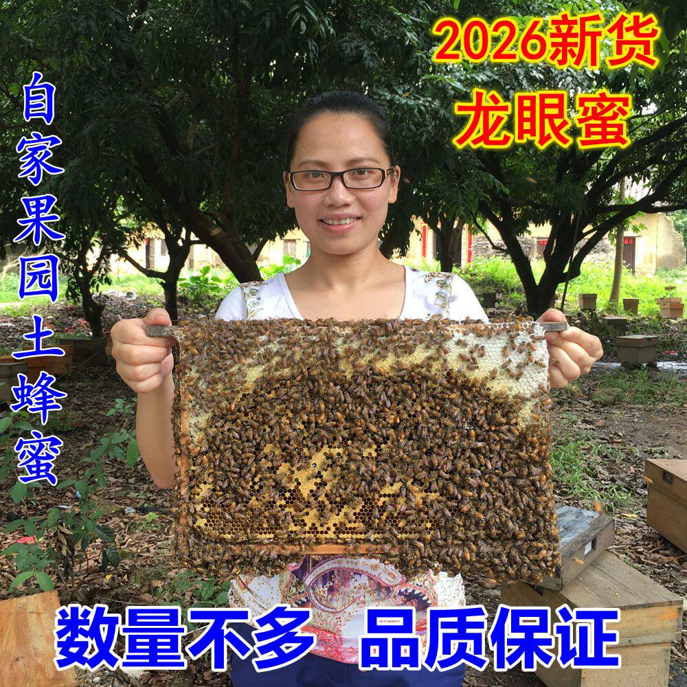 龙眼蜜桂圆蜜 农家自产土蜂蜜原蜜新蜜不加糖500g包邮多买有优惠