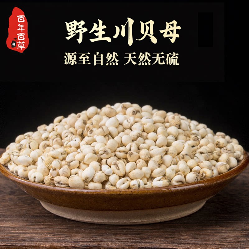 川贝母中药材四川阿坝非野生川贝母打粉老陈皮正品无硫品质贝母