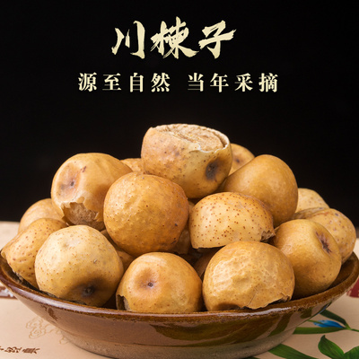 川楝子中药材四川野生正宗大颗苦楝子500g近铃子楝实子苦莲子果