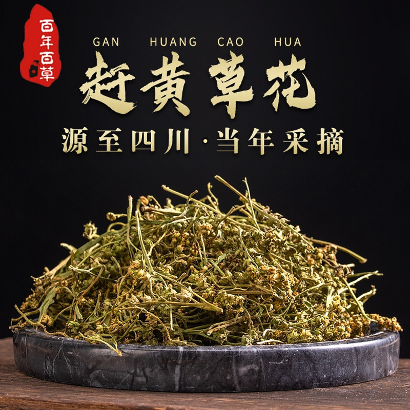 赶黄草花茶中药材四川古蔺正宗野生特级500g高品质益肝护肝苦胆草