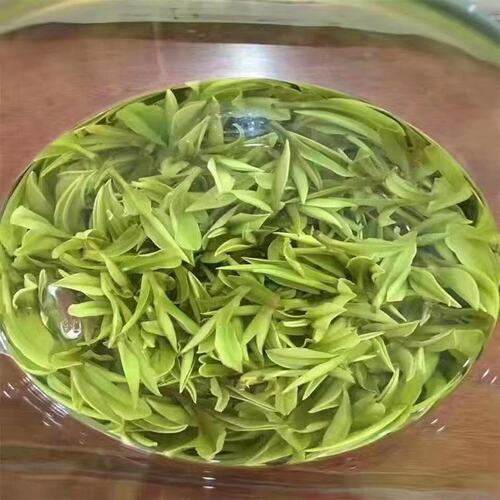 2026新茶 安吉白茶 正味兰花香 明前头采绿茶 特级茶礼