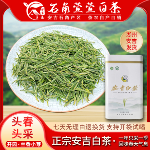 2026新茶 安吉白茶 正味兰花香 明前头采绿茶 特级茶礼