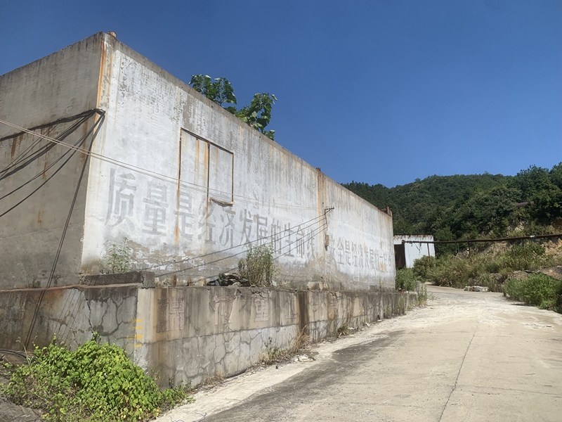 11月16日池州8幢工业用房及附属设施资产网络拍卖公告