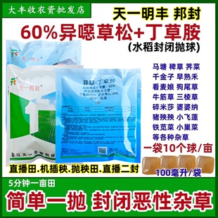 天一邦封水稻封闭抛球水上漂水溶球水稻田移栽丢封闭杂草除草剂