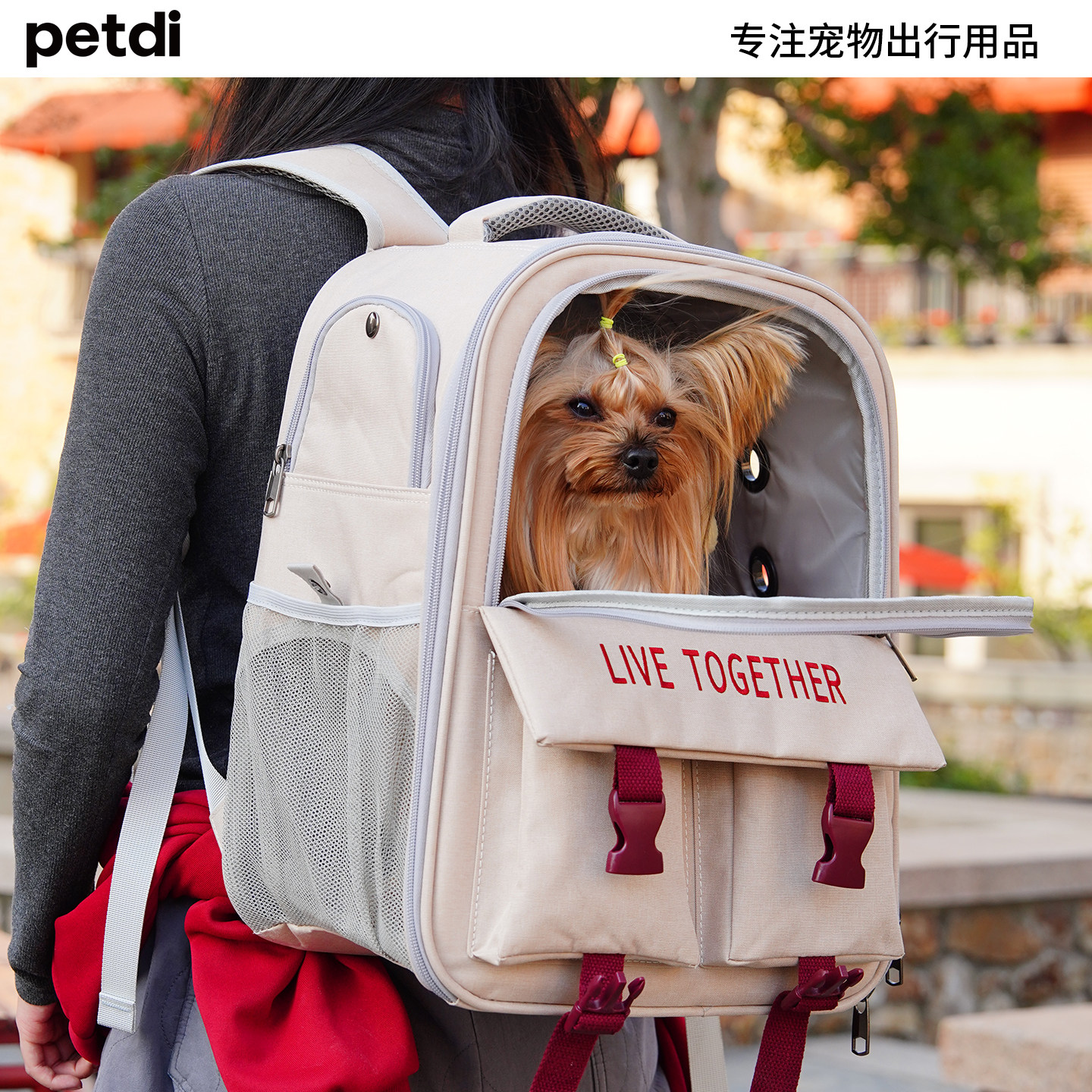宠物包双肩狗包外出便携猫包约克夏比熊泰迪中小型小狗狗外带背包