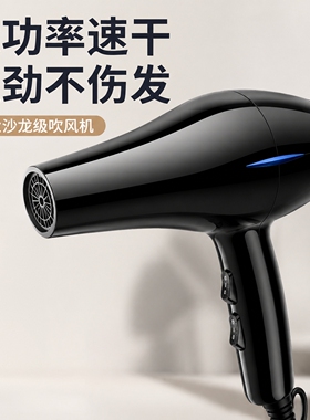 正品吹风机家用发廊大功率理发店蓝光负离子电吹风筒冷热风不伤发