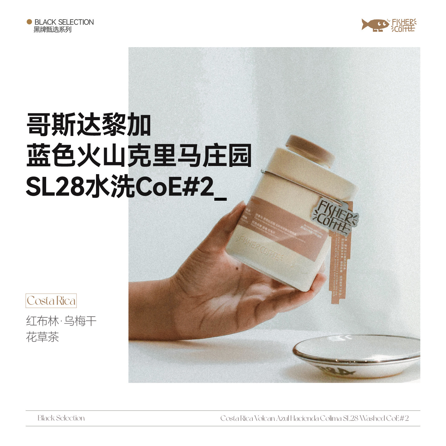 【黑牌甄选】新品 Fisher哥斯达黎加CoE#2竞标咖啡豆SL28水洗100g