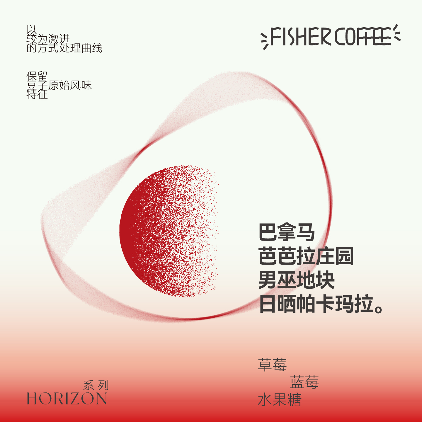 Fisher极浅烘帕卡玛拉手冲咖啡豆