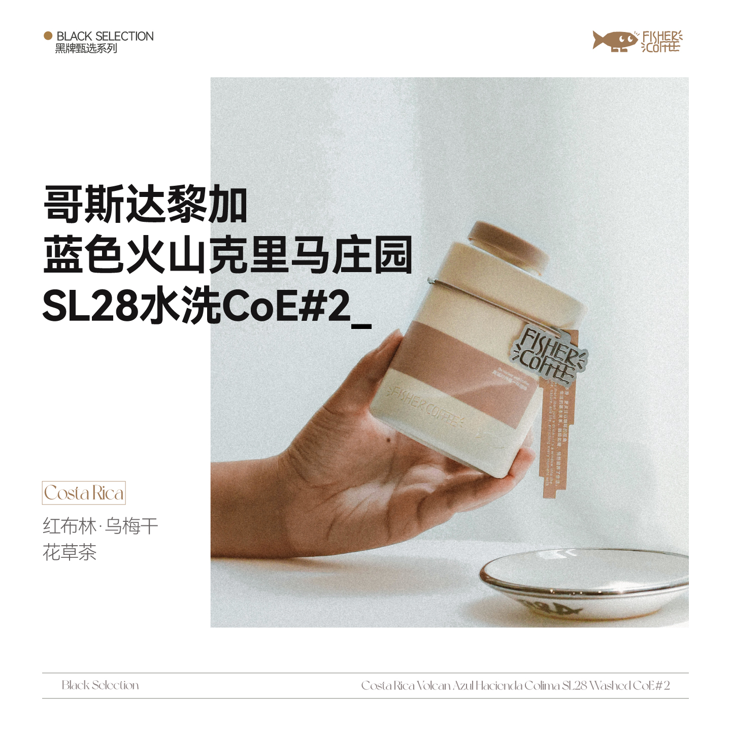 啡舍哥斯达黎加CoE#2竞标咖啡豆