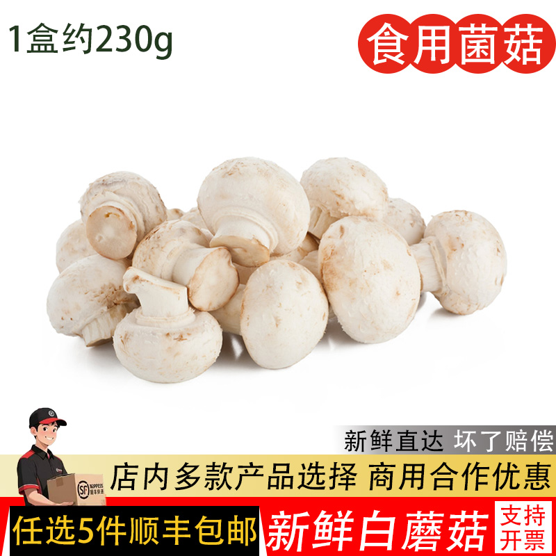 新鲜口蘑白蘑菇230g西餐食材时令