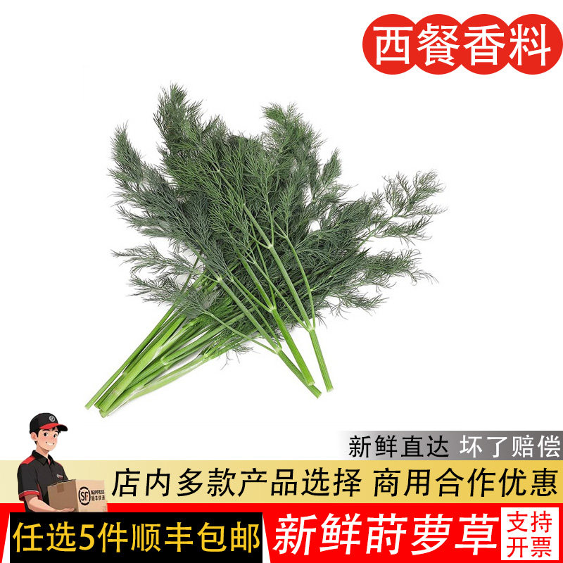 刁草新鲜莳萝草100g食用泰国西餐香料菜调料调味茴香西餐酒店摆盘