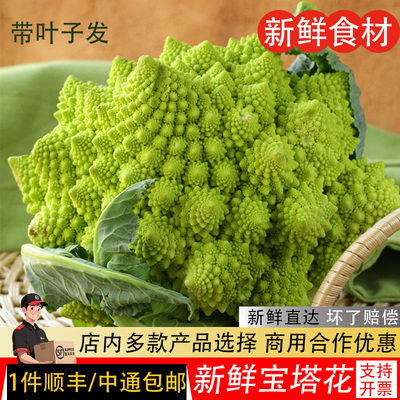 宝塔花菜新鲜蔬菜罗马花椰菜西餐