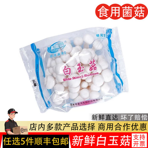 新鲜白玉菇食用煲汤火锅食材菌菇