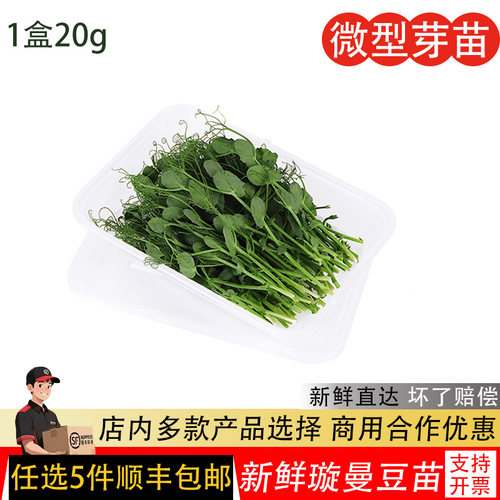 新鲜水培璇蔓豆苗PeaShoots西餐