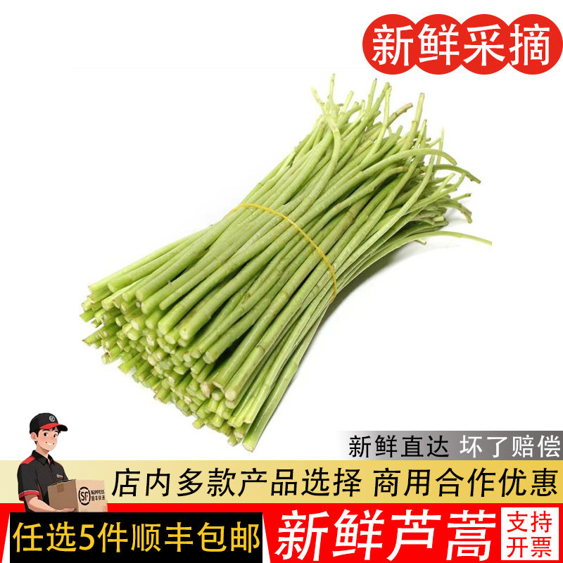 新鲜芦蒿蔬菜500g农家自种蓠蒿水蒿泥蒿藜蒿西餐沙拉绿色西餐摆盘