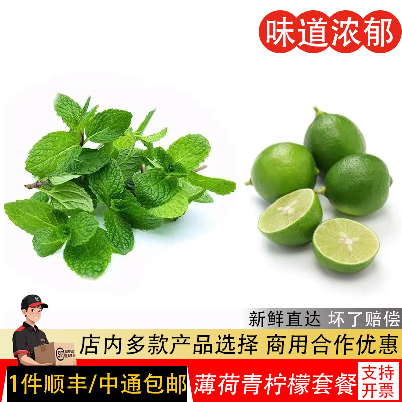 新鲜薄荷叶食用饮品青柠檬水果茶套餐调酒装饰500g多省顺丰包邮