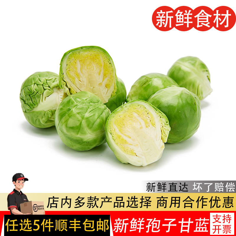 孢子甘蓝新鲜蔬菜西餐沙拉食材