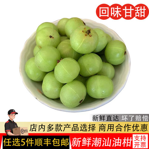 青油甘果余甘果新鲜当季现摘