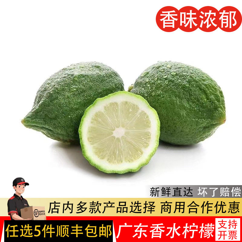 新鲜广东香水柠檬奶茶店饮品专用水果皮薄多汁香味浓郁一级青柠檬