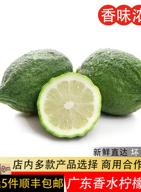 新鲜广东香水柠檬奶茶店饮品专用