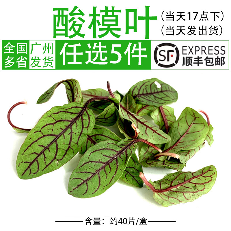 新鲜红脉酸模叶1盒40片红酸模草酢浆草食用花酒店摆盘装饰酸膜叶_虎窝淘