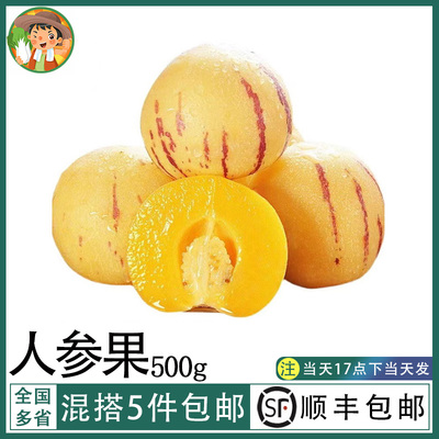 云南石林人参果大果新鲜水果
