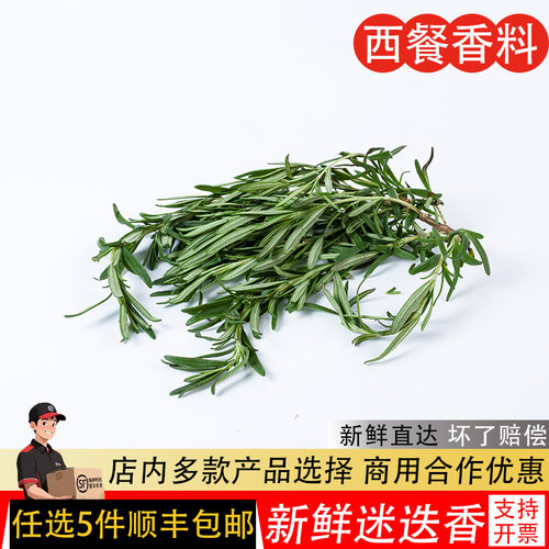迷迭香香料新鲜香料西餐煎牛排