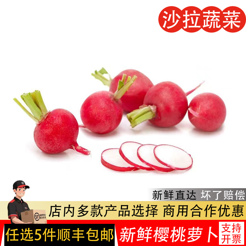 樱桃萝卜新鲜小萝卜500g迷你小红萝卜新鲜蔬菜沙拉食材轻食色拉菜