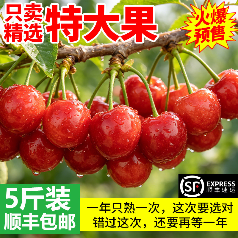 山东大樱桃国产车厘子当应季新鲜水果孕妇箱礼盒顺丰包邮