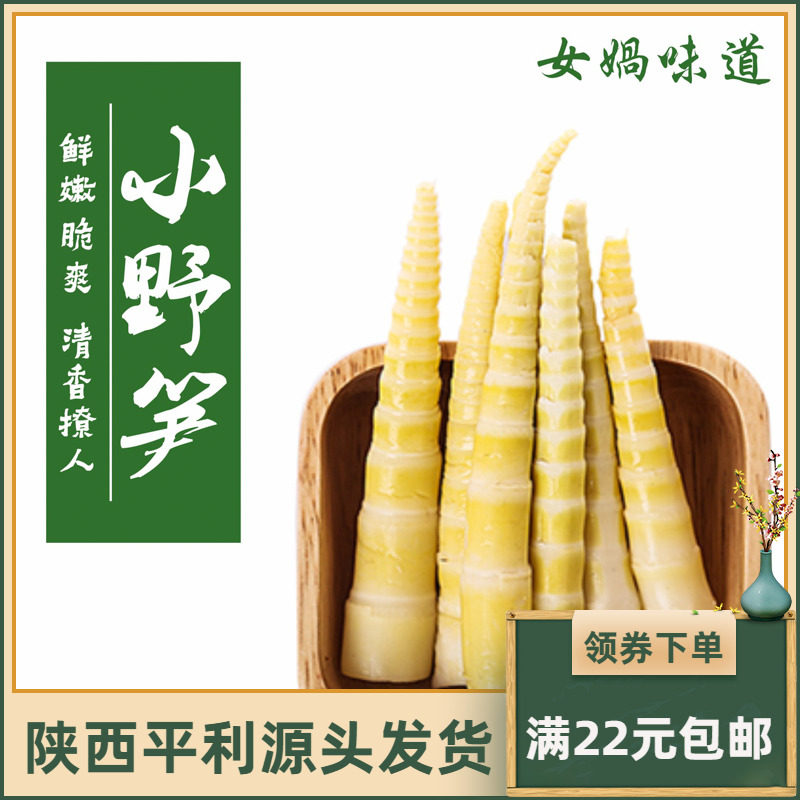 天然野笋新鲜竹笋陕南安康平利特产2026春笋小竹笋嫩笋尖真空装