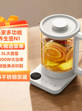 小米米家多功能养生壶N1