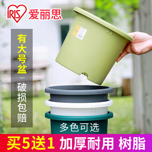 爱丽思deepot花盆塑料加仑盆阳台种菜盆托爱丽丝花盆多肉兰花月季 - 封面