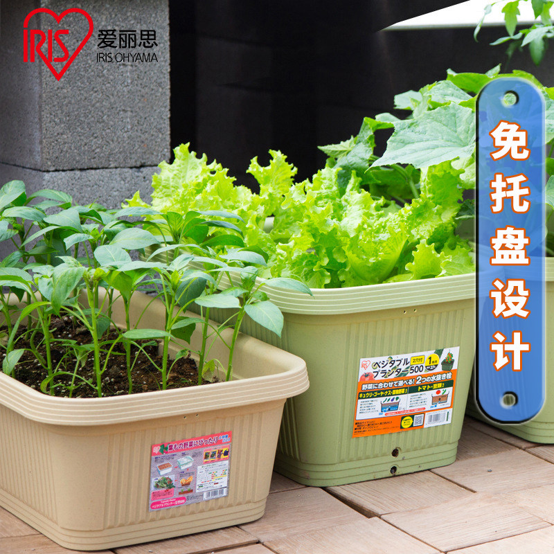 日本爱丽思花盆长方形塑料大号家庭阳台种菜蔬菜种植盆家用爱丽丝,鲜花速递/花卉仿真/绿植园艺,花盆,淘宝优惠券,粉丝福利购,淘宝优惠卷