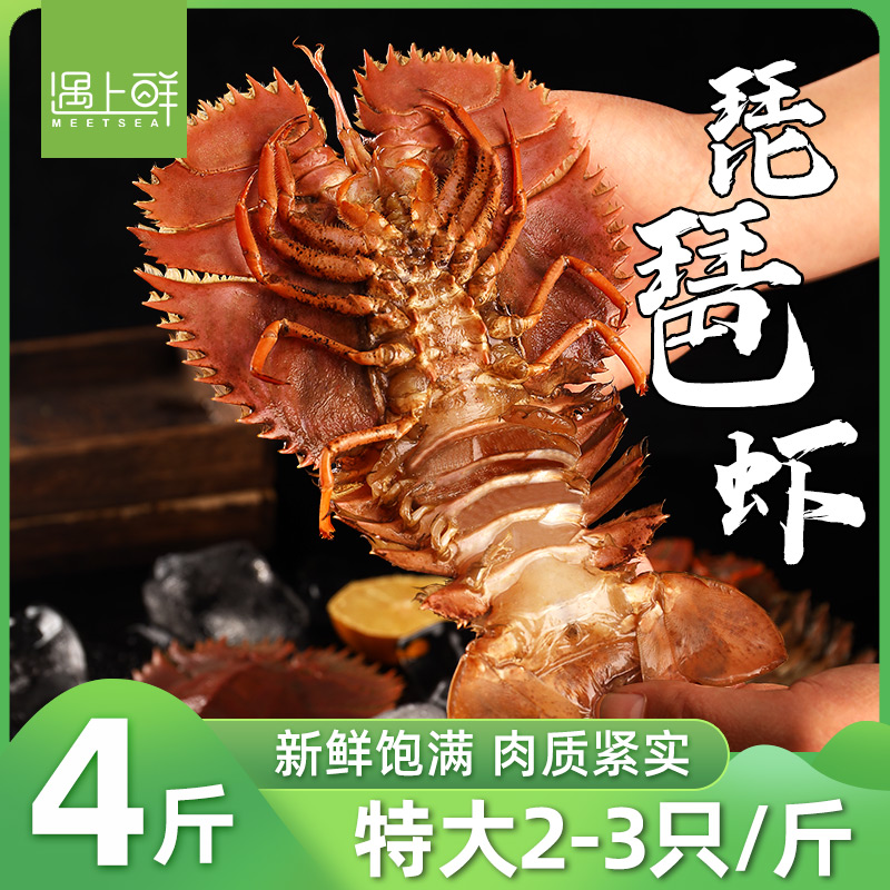 【当季新品】舟山大琵琶虾鲜活特大速冻九齿扇虾海鲜琶琵虾枇杷虾