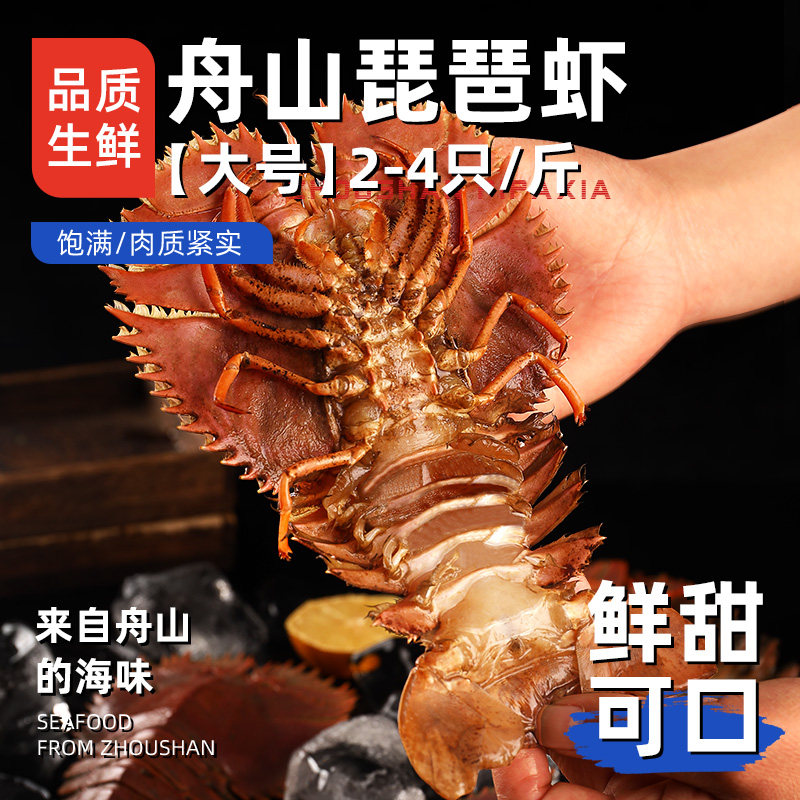 【遇上鲜】舟山大琵琶虾新鲜速冻特大九齿扇虾海鲜琶琵虾枇杷虾