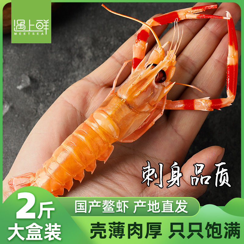 【新鲜船冻】国产舟山刺身海鳌虾