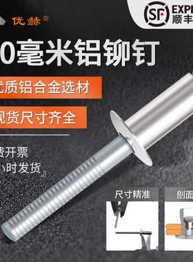 8.0铆钉8毫米粗抽芯铆钉16mm20mm帽沿适用8-9毫米孔圆头8.0拉铆钉