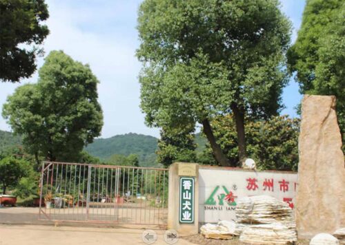 香山犬业宠物寄养喂养云撸狗服务费