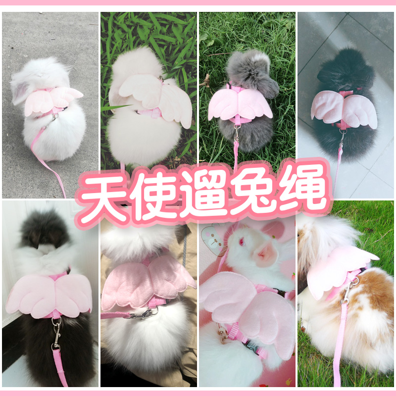 兔子牵引绳防挣脱溜兔绳宠物侏儒兔兔可调节专用绳子栓绳遛兔神器