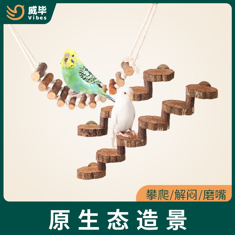 鹦鹉爬梯玩具原生态造景