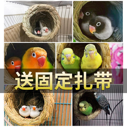 鸟窝草编草窝鹦鹉鹦鹉鸟窝草编草