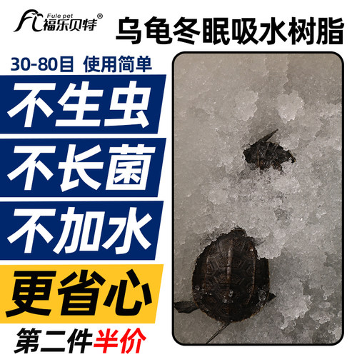 乌龟冬眠吸水树脂！冬眠神器